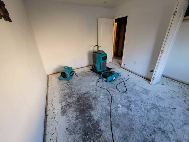 Best Commercial water damage restoration  in Wayne, IL