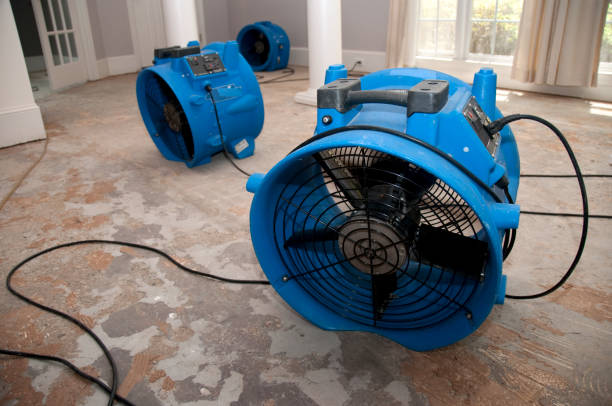 Best Professional water damage repair  in Wayne, IL