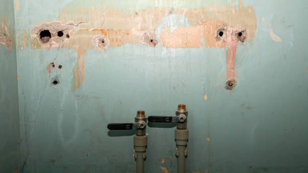 Best Residential water damage restoration  in Wayne, IL