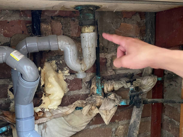 Best Carpet water damage restoration  in Wayne, IL