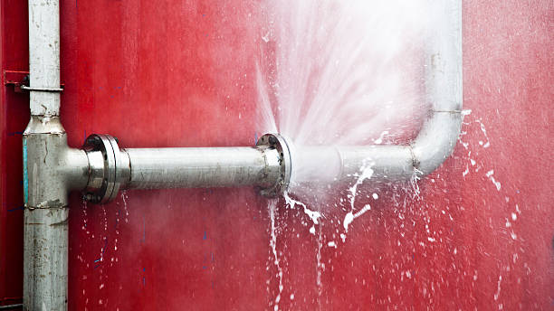 Best Mold removal after water damage  in Wayne, IL